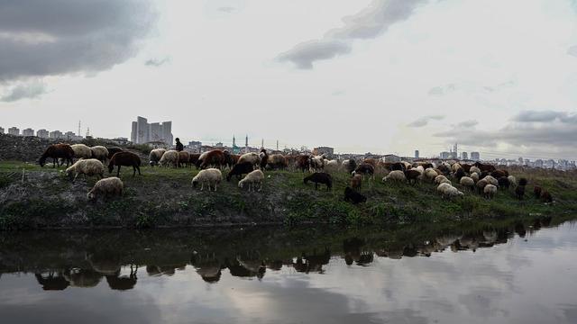 İstanbul'da korkutan manzara: Dere siyaha büründü!