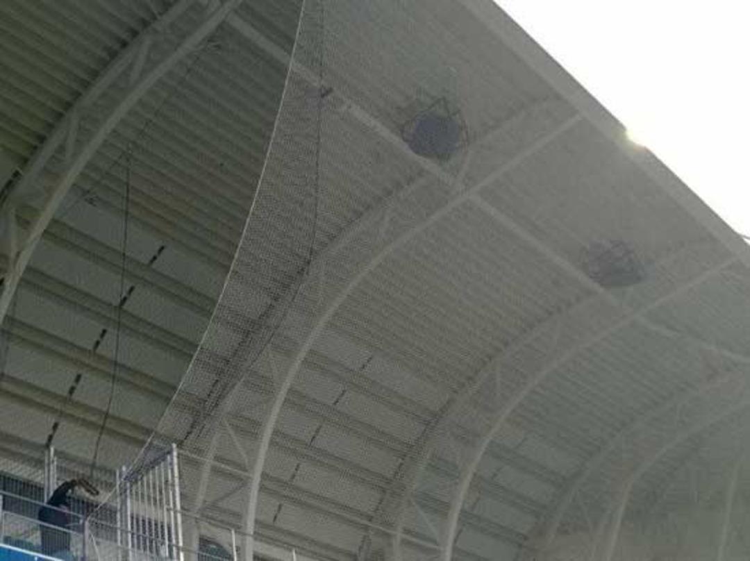 Fenerbah&ccedil;e'ye Molde kafesi!