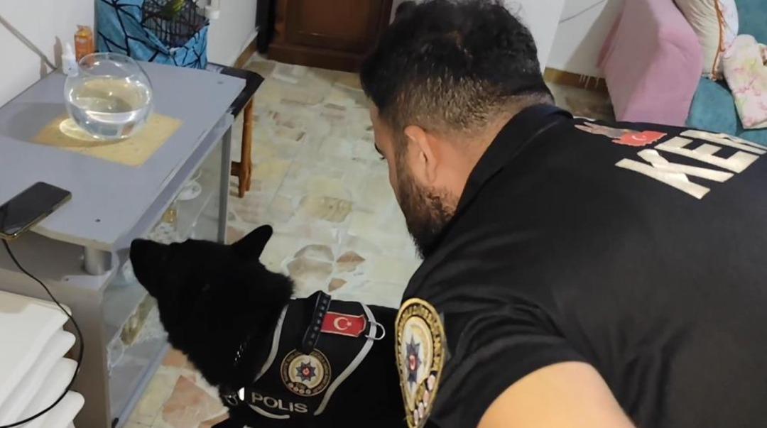 İçişleri Bakanı Yerlikaya: 