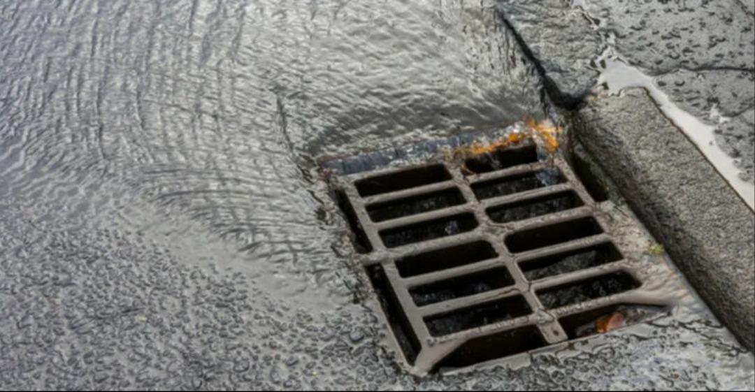 Londra da kanalizasyona kahve döken Türk e ceza kesildi! Belediye açıklama yaptı 1