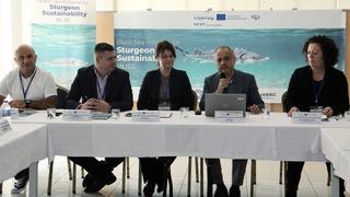 Karadeniz'in biyolojik hazinesi! Korunması için 4 ülke arasında işbirliğine gidildi