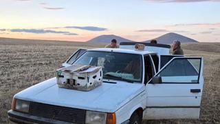 Kars'ta kızıl şahin avlayan 2 kişiye yüz binlerce liralık ceza!