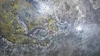 Kaçakçılara satılmak üzereydi! Mardin'de 1500 yıllık mozaik ele geçirildi