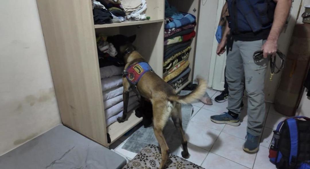 Osmaniye’de DEAŞ operasyonu: 6 tutuklama 1