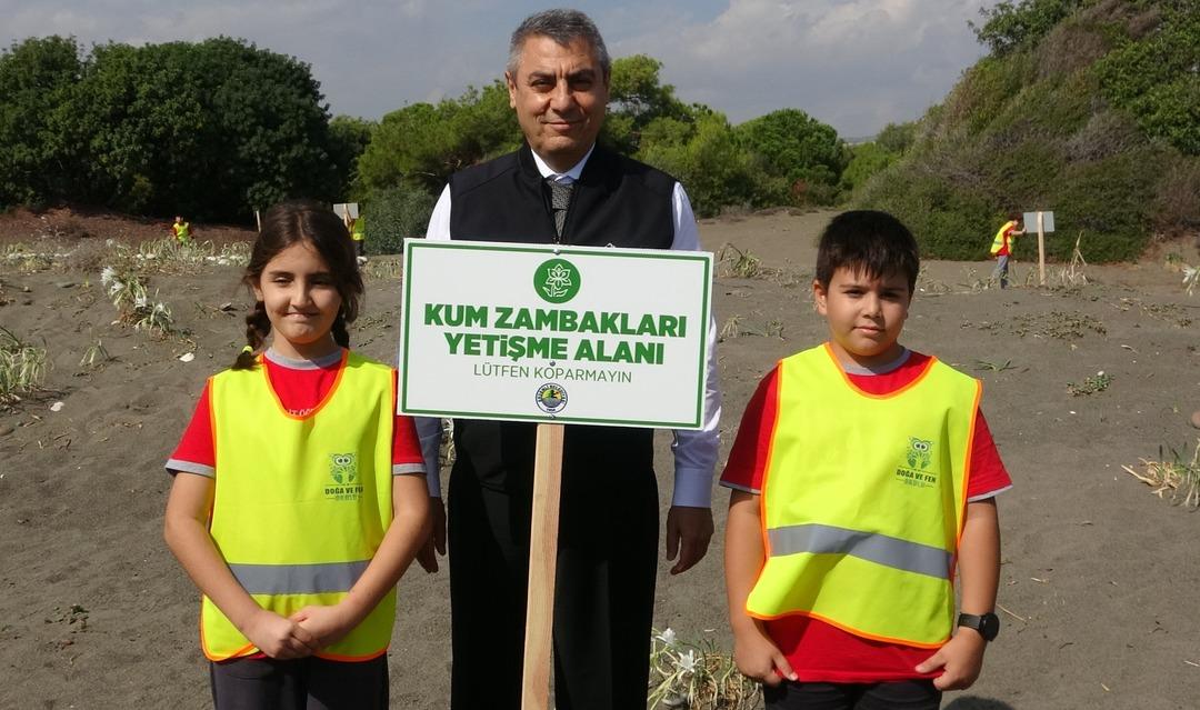 Bu çiçeği koparmanın cezası 2 milyon 800 bin TL! Nesli tükeniyor tehlikesi: Kum zambakları koruma altında 9