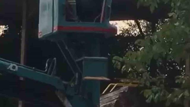 Bursa’da vinç üstünde arı alarmı