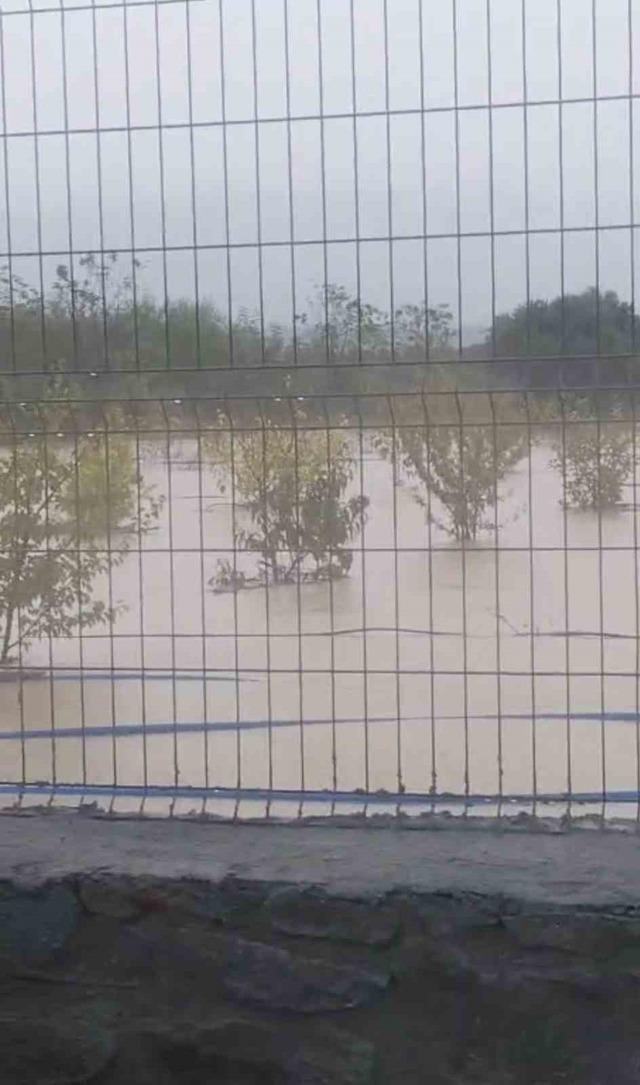Göçkeada’da sel; tarım arazileri sular altında kaldı 1