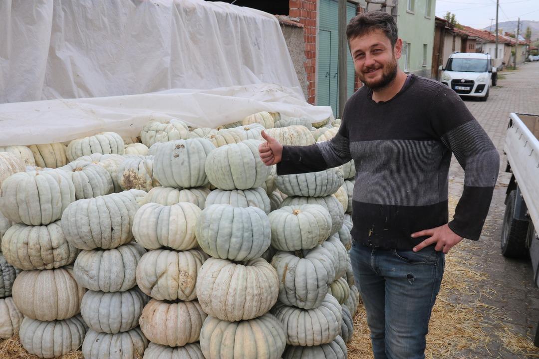 Psikoloji düzelten meşhur kabak: “Kestane Kabağı" Eskişehir de ata tohumundan üretiliyor: Ünlü bal kabağında hasat zamanı 1