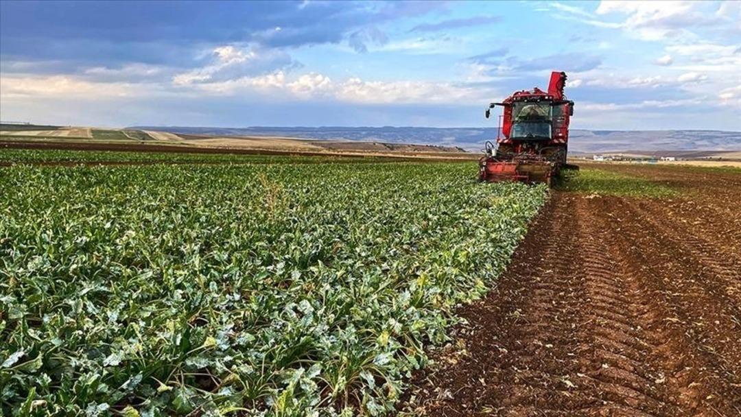 TEPAV açıkladı! Türkiye’de sigortalı çalışan sayısı 26,5 milyonu aştı 1