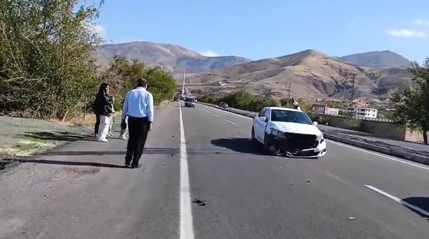 Elazığ’da otomobil köpeğe çarptı: 1 yaralı