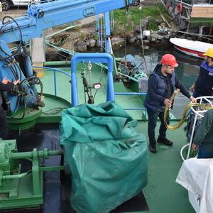 Karadeniz'de balık stoklarının araştırılmasına yönelik çalışmalar devam ediyor