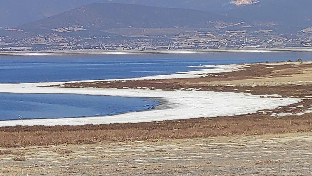 Yüzde 40 yok olacak uyarısı: O yılı işaret etti! Kuraklığa karşı susuz tarım : "Su milli hazinedir" 6