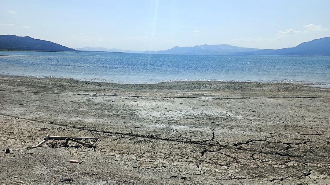 Yüzde 40 yok olacak uyarısı: O yılı işaret etti! Kuraklığa karşı susuz tarım : "Su milli hazinedir" 3