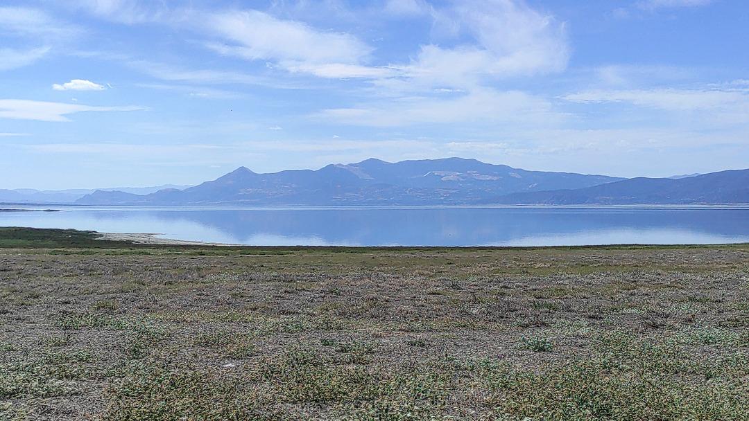 Yüzde 40 yok olacak uyarısı: O yılı işaret etti! Kuraklığa karşı susuz tarım : "Su milli hazinedir" 2