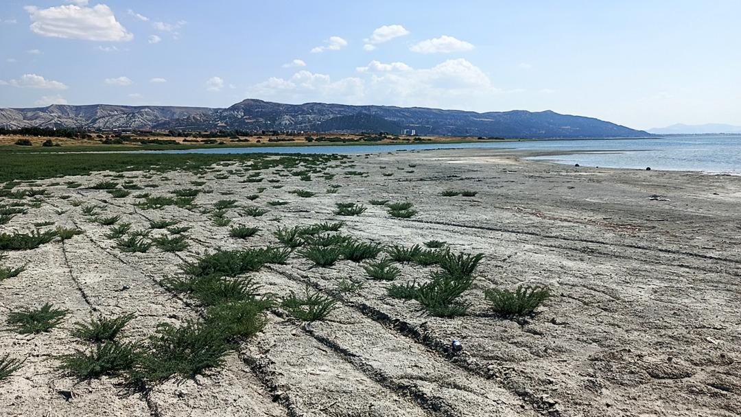 Yüzde 40 yok olacak uyarısı: O yılı işaret etti! Kuraklığa karşı susuz tarım : "Su milli hazinedir" 1