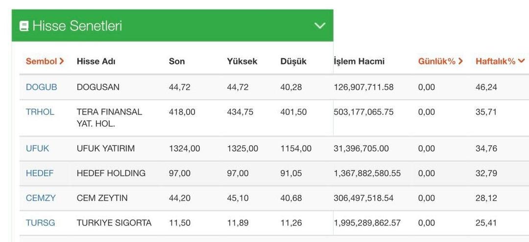 Hafta bitmeden rüzgarı arkasına alan 5 hisse: DOGUB, TRHOL, UFUK, HEDEF, CEMZY 1