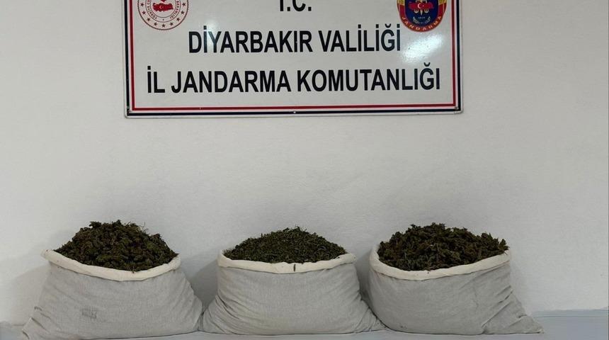 Diyarbakır'da uyuşturucu operasyonları! 15 kilogram skunk ele geçirildi