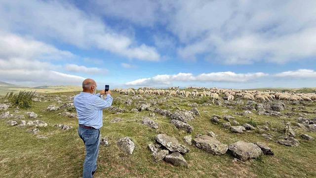 Tuz taşı olarak keçilere yalatılan kayalar bakın ne çıktı: Türk beyliklerinin savaş alanındaki mezar taşları olduğu anlaşıldı