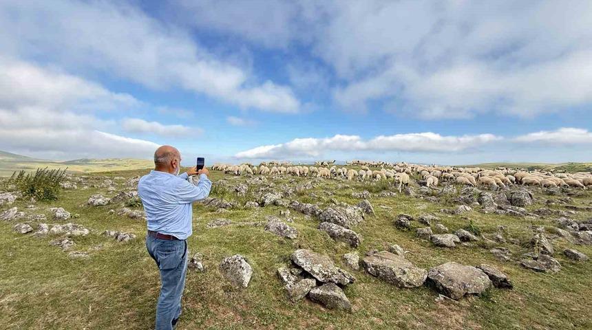 Tuz taşı olarak keçilere yalatılan kayalar bakın ne çıktı: Türk beyliklerinin savaş alanındaki mezar taşları olduğu anlaşıldı