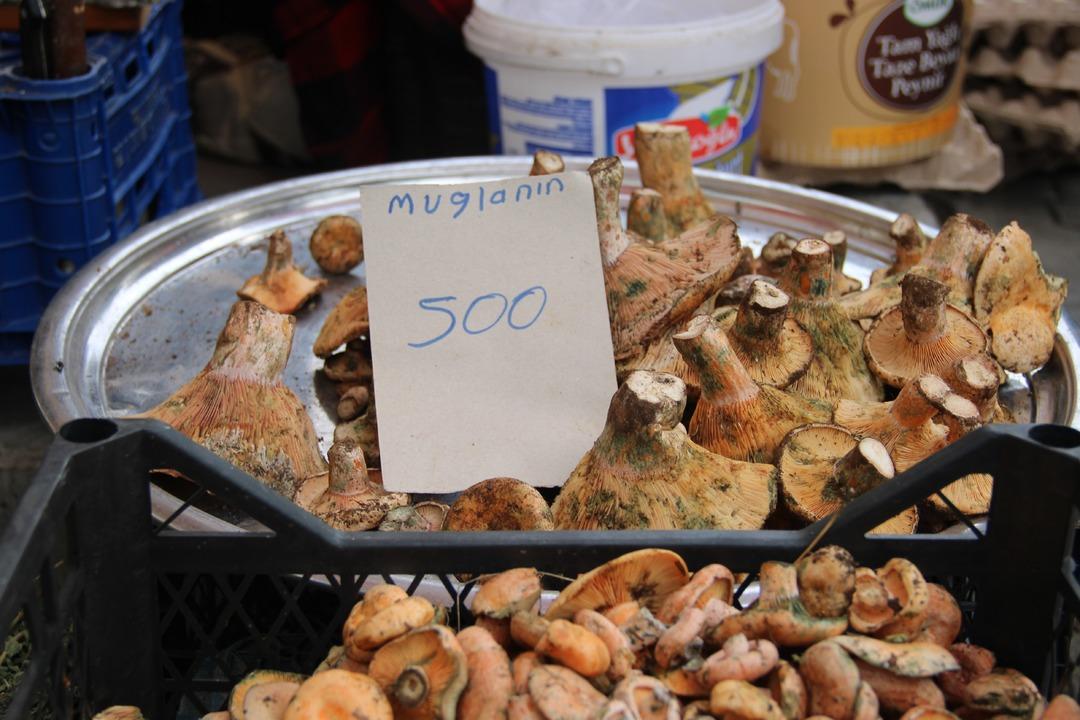 Kilosu 500 lira... Ege Bölgesi nin en sevilen sonbahar lezzeti: Çıntar pazar tezgahlarında yerini aldı 3