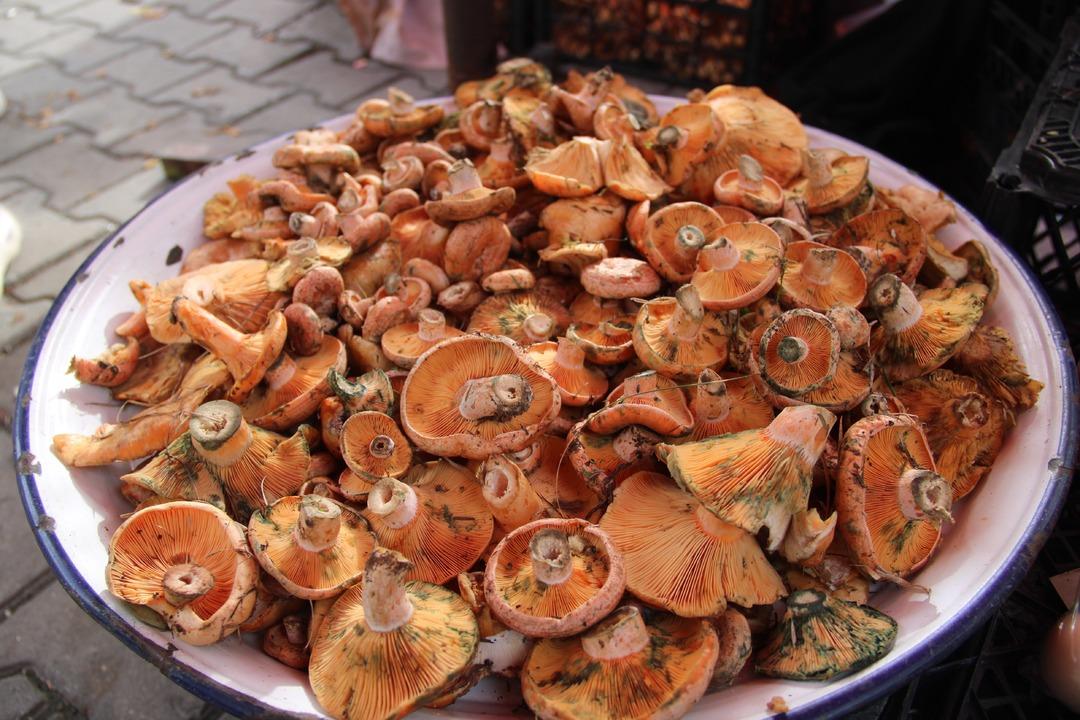 Kilosu 500 lira... Ege Bölgesi nin en sevilen sonbahar lezzeti: Çıntar pazar tezgahlarında yerini aldı 4