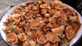 Kilosu 500 lira... Ege Bölgesi'nin en sevilen sonbahar lezzeti: Çıntar pazar tezgahlarında yerini aldı 