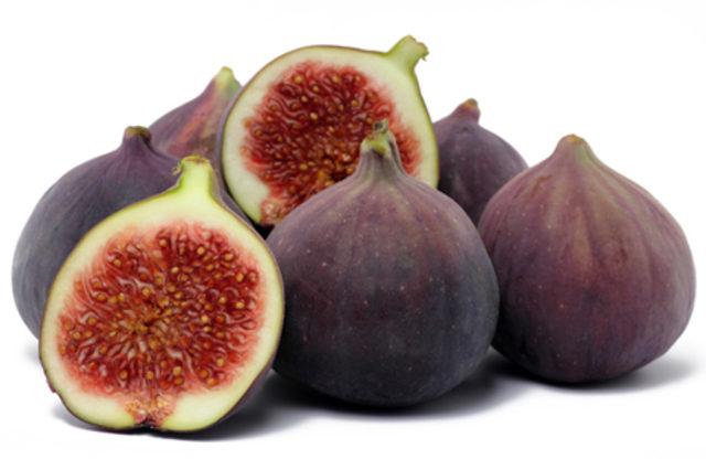 Fig