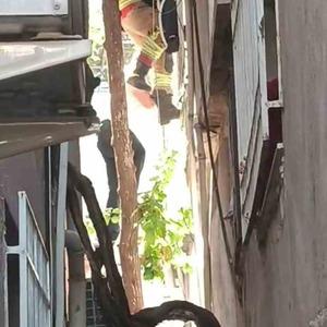 Ağaçta asılı kalan şahsı itfaiye kurtardı