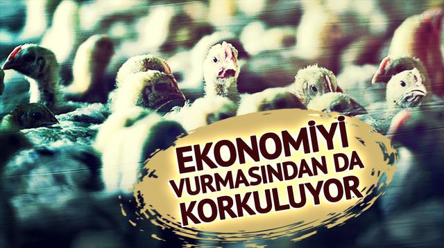 Vakaların patladığı iki ülke harekete geçti