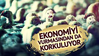Ekonomiyi kötü etkilemesinden korkuluyor! Avrupa'da yeni salgın alarmı: Vakaların patladığı iki ülke harekete geçti