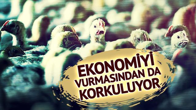 Ekonomiyi kötü etkilemesinden korkuluyor! Avrupa'da yeni salgın alarmı: Vakaların patladığı iki ülke harekete geçti