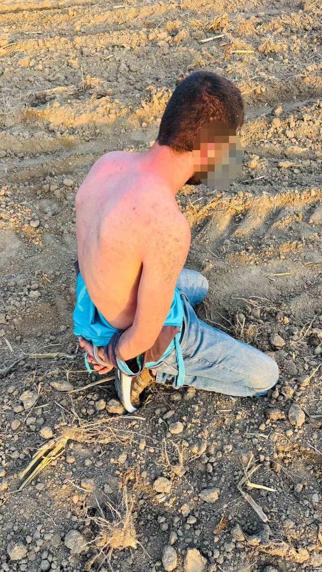 JASAT, uyuşturucu tacirlerini tarlada yakaladı 3