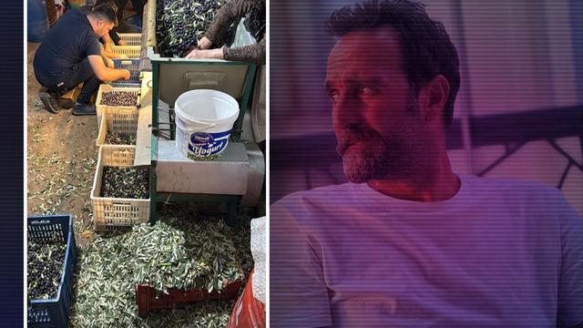 Çakallarla Dans’ın Köfte Necmi’si Timur Acar zeytinlik satın aldı! İlk hasadını yaptı 