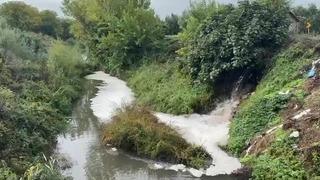 Gemlik Körfezi’nde kirlilik endişeye yolaçıyor