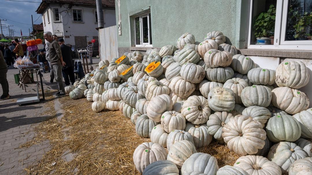 Coğrafi işaretli meşhur bal kabağı panayırı: "Kızılinler in bal kabağını her yer bilir" 3
