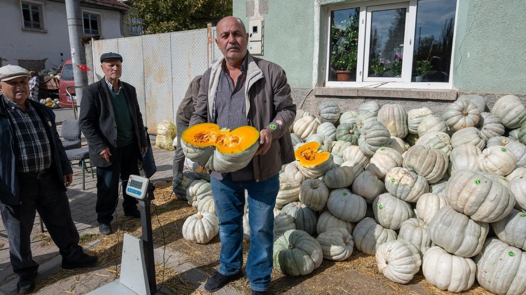 Coğrafi işaretli meşhur bal kabağı panayırı: "Kızılinler in bal kabağını her yer bilir" 5