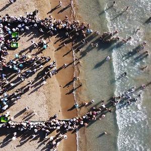 Muğla'da tedavileri tamamlanan deniz kaplumbağaları Cumhuriyet'in 102. yılı kapsamında denizle buluştu