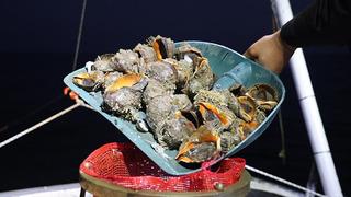 9 ayda 10,7 milyon dolar kazandırdı! 'Talep giderek artıyor'