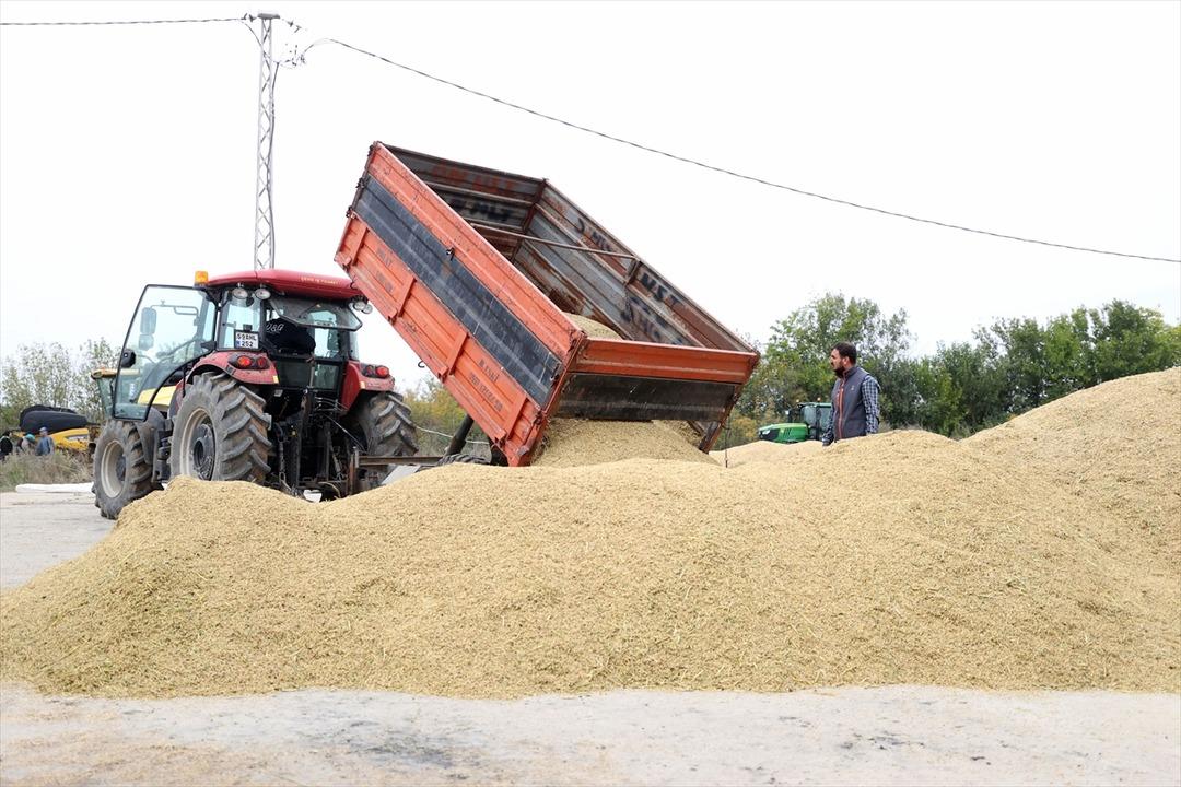 Şu an çok heyecanlıyım, verim çok güzel  Fiyatlar da memnun etti!  Başardık  1