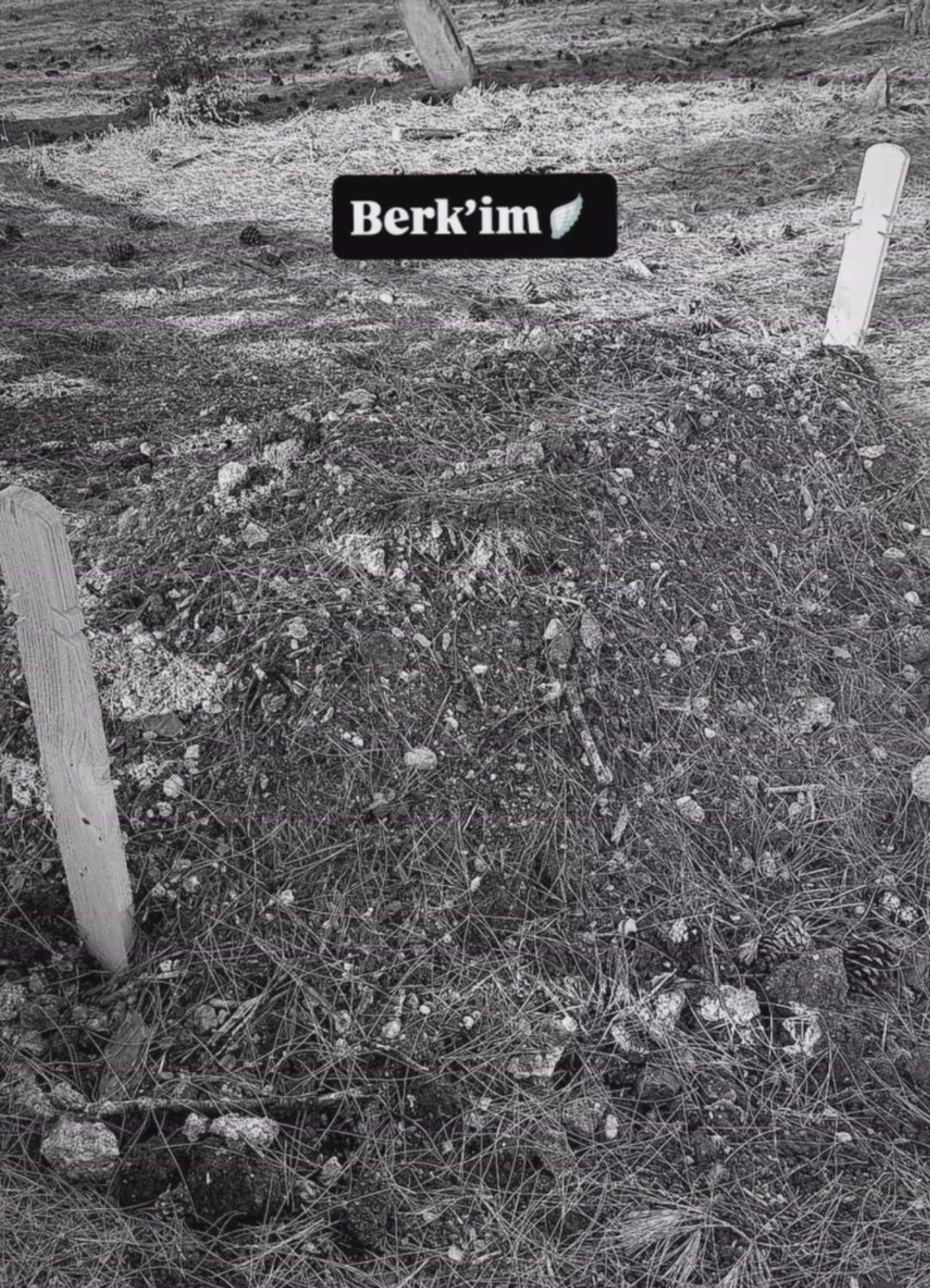  Bebeğim doktorun elinden kayıp öldü  iddiası kan dondurdu! İhmaller zincirine soruşturma başlatıldı 4