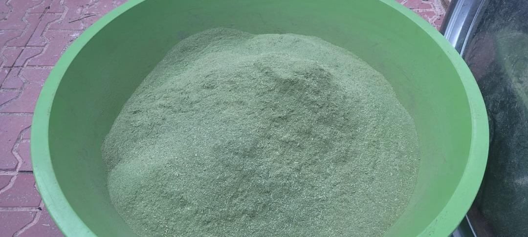 Doğanın şifalı hediyesi... 120 bitkiden oluşan zetrin baharatı yeniden gün yüzüne çıkıyor: "Islatılmış ekmeğe dökülerek tüketilir" 2