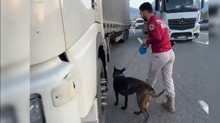 Iğdır’da kaçakçılık ve dolandırıcılık operasyonları: Çok sayıda kaçak ürün ele geçirildi, 4 şüpheli yakalandı