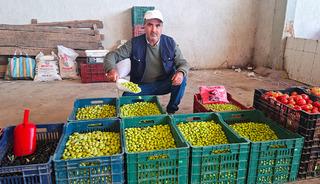 Hisarcık’ta salamura zeytin yapımı yaygınlaştı