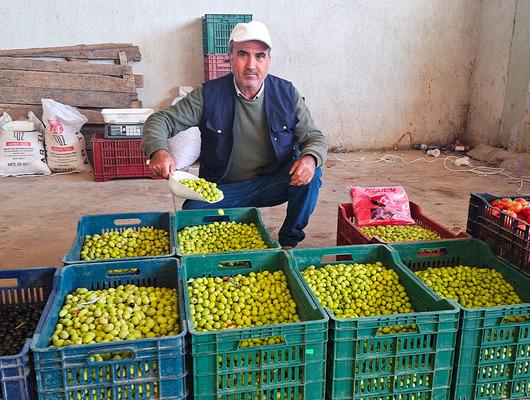 Vatandaşlar son yıllarda sağlıklı ve ucuz diye alıyor: 'Satışlarımız çok iyi'