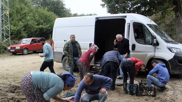 '20 milyon TL dağıtmışızdır' İşten çıkıp oraya koşuyorlar, satıp para kazanıyorlar 'Güzel para'