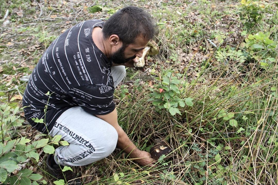  20 milyon TL dağıtmışızdır  İşten çıkıp oraya koşuyorlar, satıp para kazanıyorlar  Güzel para  2