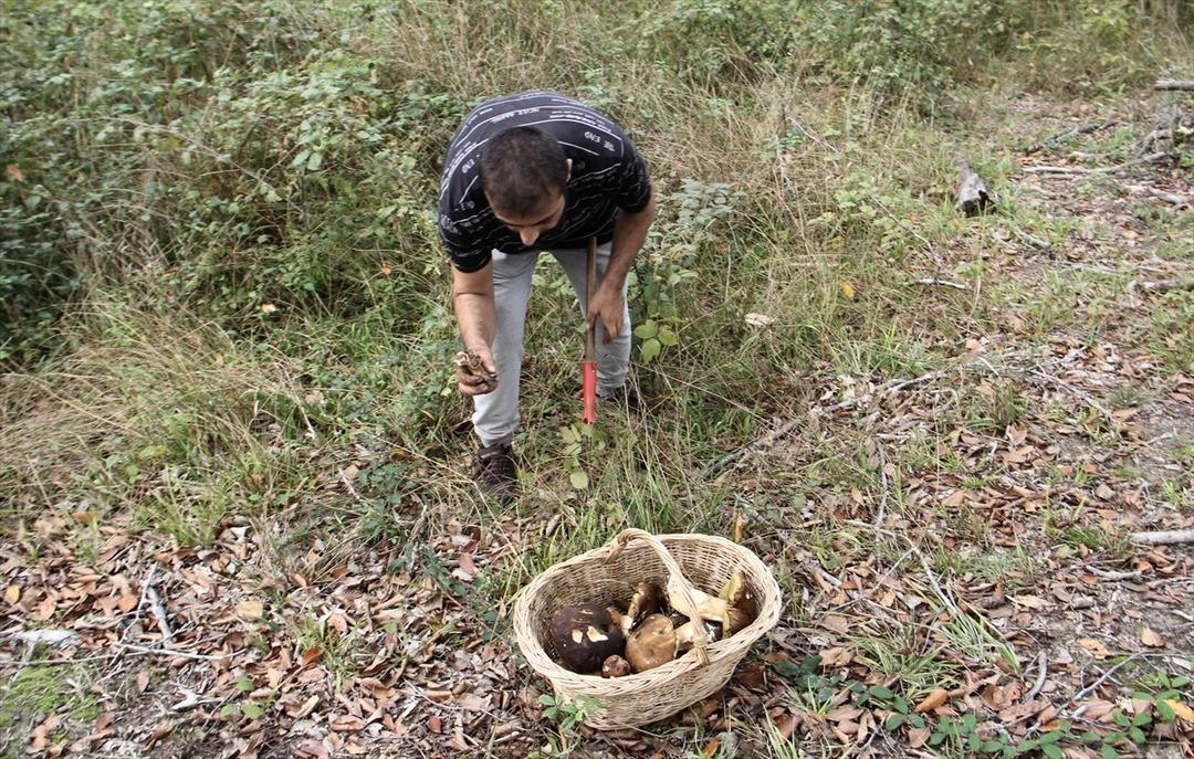  20 milyon TL dağıtmışızdır  İşten çıkıp oraya koşuyorlar, satıp para kazanıyorlar  Güzel para  3
