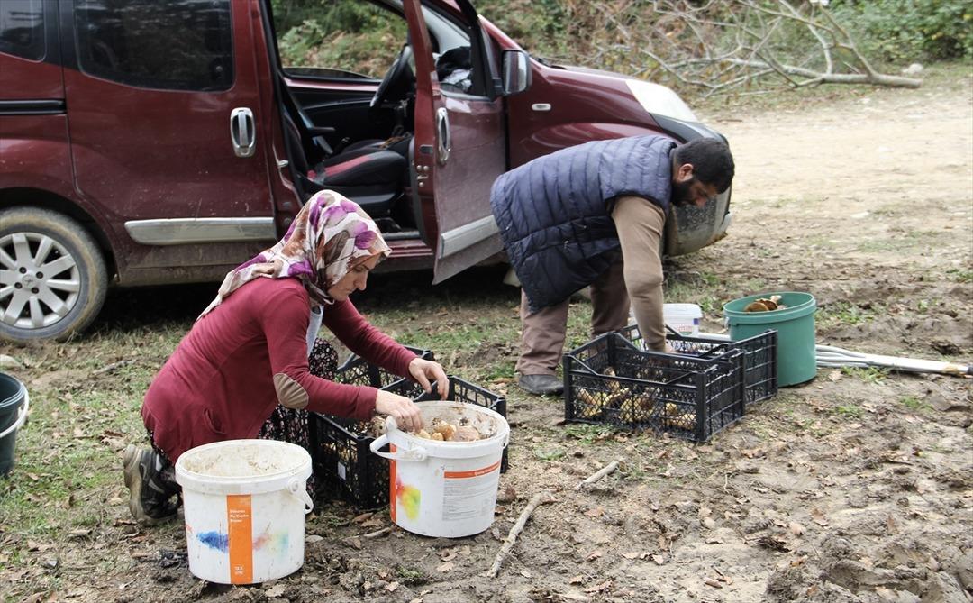  20 milyon TL dağıtmışızdır  İşten çıkıp oraya koşuyorlar, satıp para kazanıyorlar  Güzel para  6