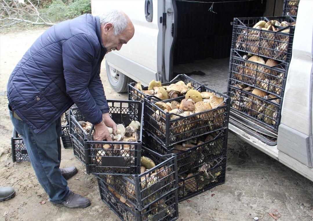  20 milyon TL dağıtmışızdır  İşten çıkıp oraya koşuyorlar, satıp para kazanıyorlar  Güzel para  8
