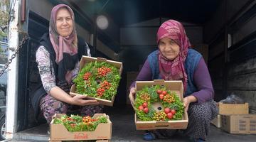 Köyden Avrupa'ya ihracat: Her yıl 1 milyon çelenk üretiliyor: 250 kadın bu işle uğraşıyor! 
